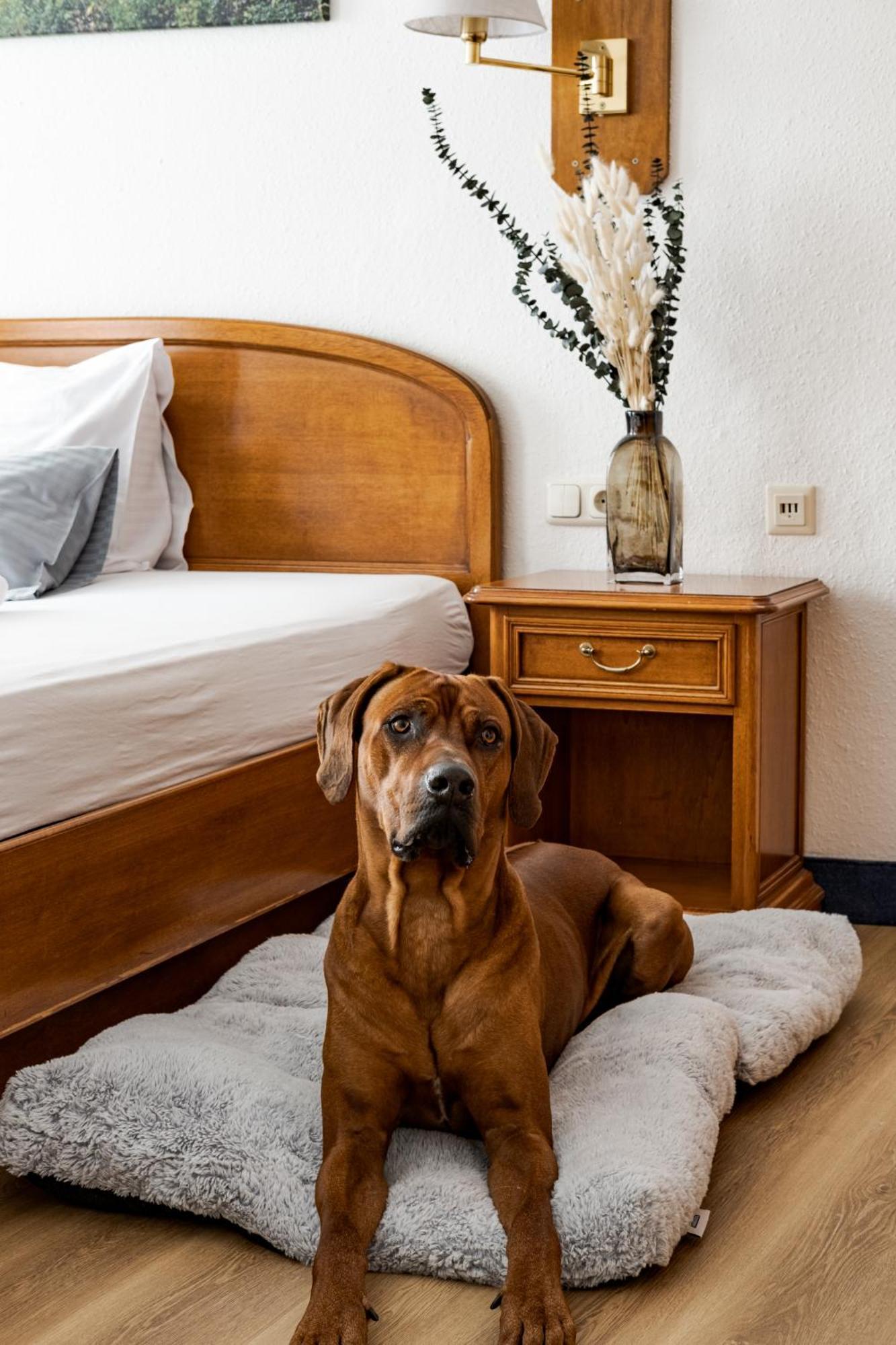 Hotel Goldener Hirsch Kaufbeuren Kültér fotó
